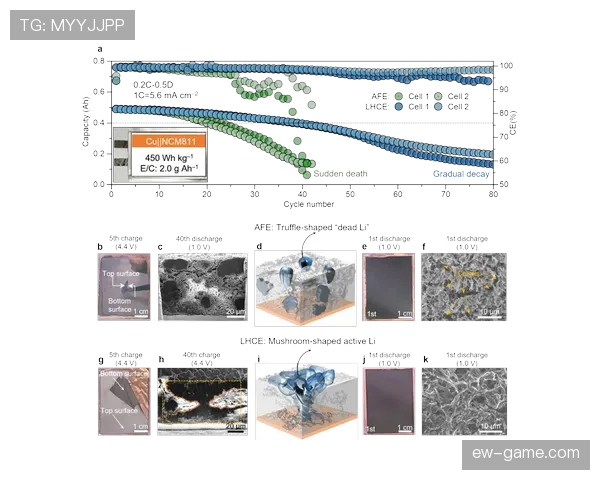 赖斯生涯个人表现与团队成绩关联性分析 赖斯生涯个人表现与团队成绩关联性分析